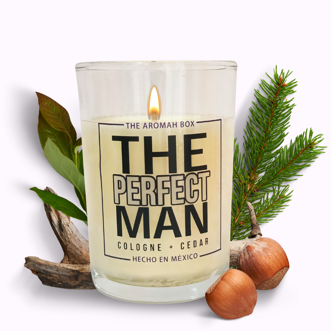 The Perfect Man